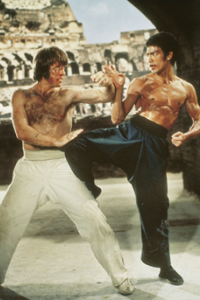 Way of the Dragon, The